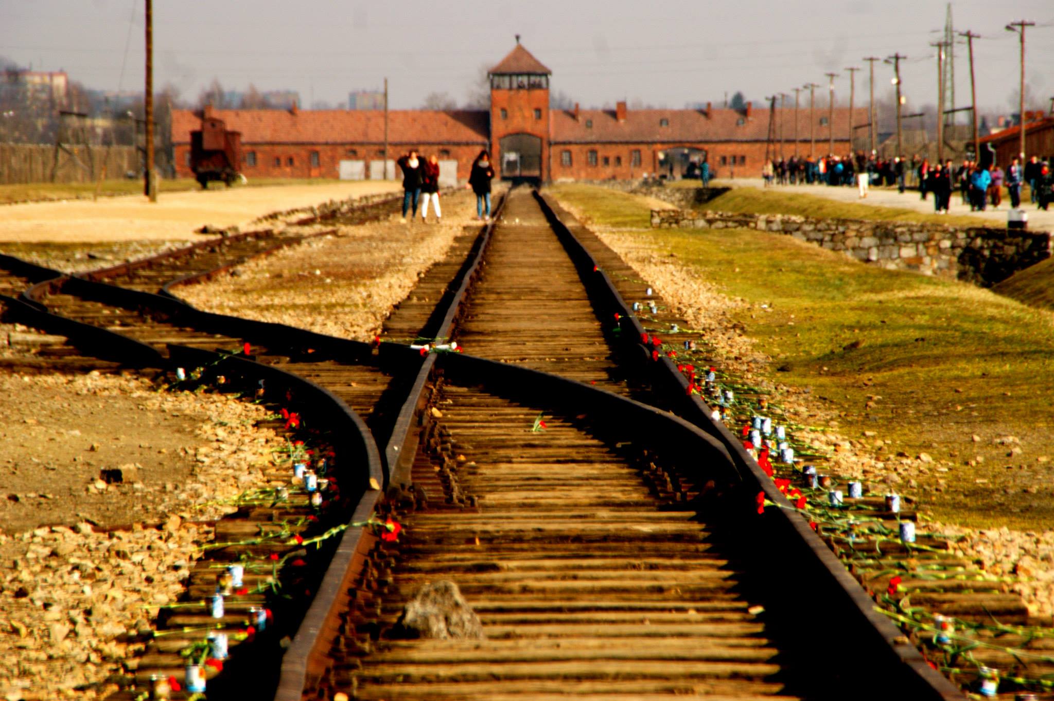 Holocaust Memorial Day 2020 - Memorial Hall Bodhyfryd ...